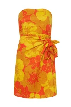 FAITHFULL THE BRAND - Lucia Mini Dress (Surfs Up Floral Print)